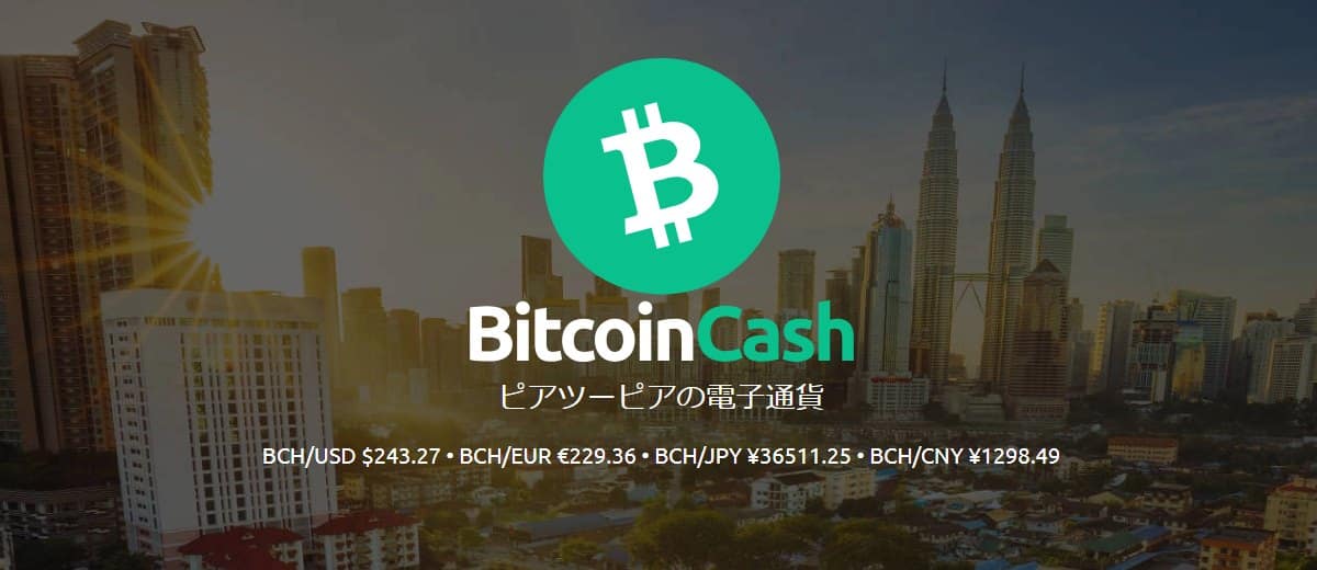 Bitcoin Cash P2P