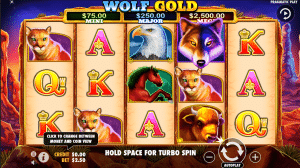 wolf gold casino