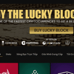 LuckyBlock Casino Phòng trưng bày