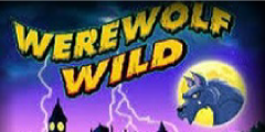 Werewolf Wild Slots
